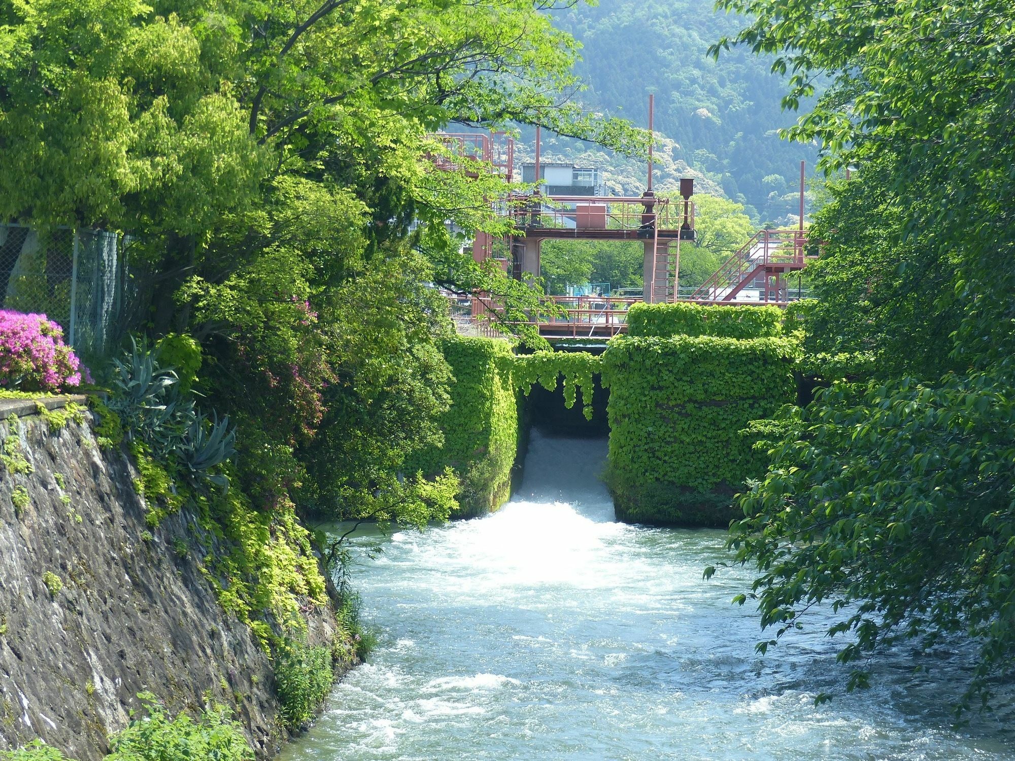 Guest House Kobako Kyoto Exterior photo