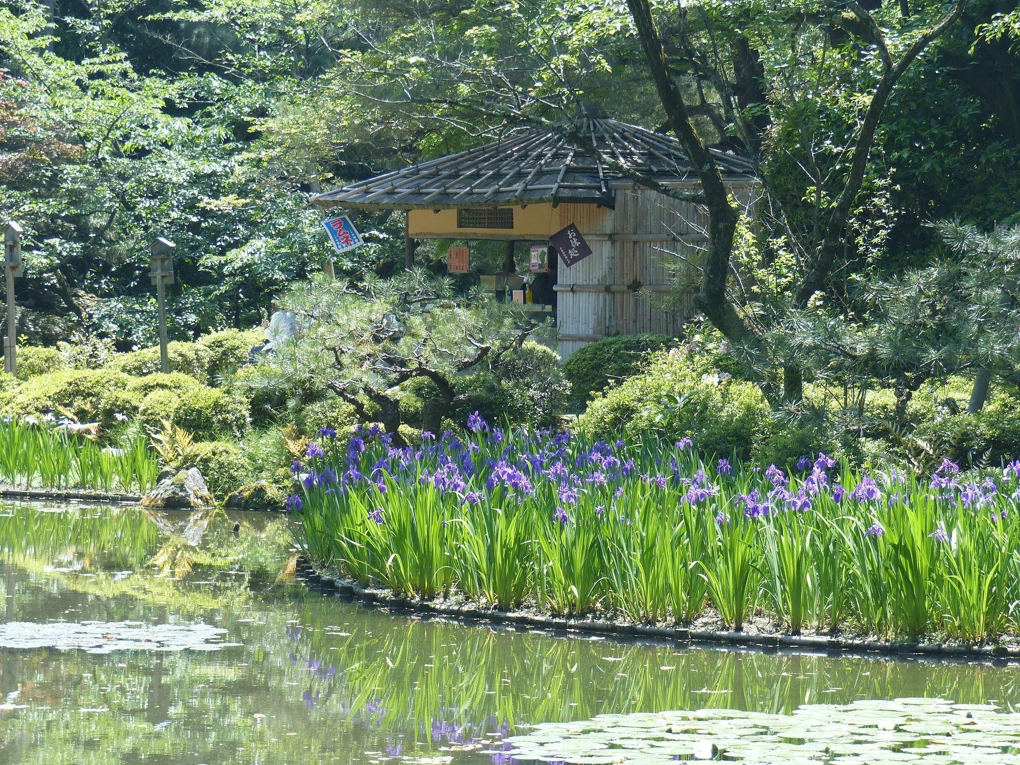 Guest House Kobako Kyoto Exterior photo